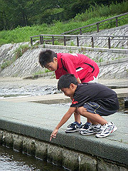 090730-03wakaba011-s_s.jpg