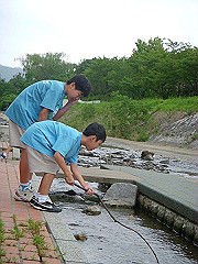 090730-03wakaba012-s_s.jpg
