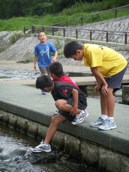 090730-03wakaba013-s.jpg