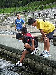 090730-03wakaba013-s_s.jpg
