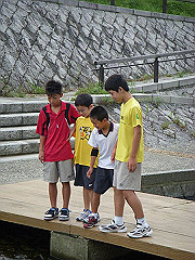 090730-03wakaba014-s_s.jpg