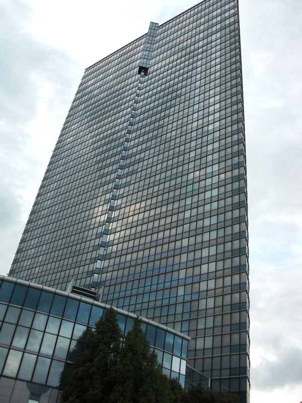 CIMG2771-s.jpg